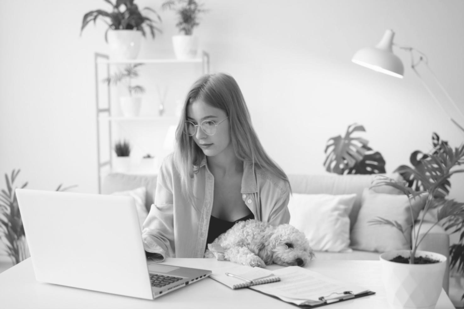 Étude de cas réels d'entreprises cotées en bourse